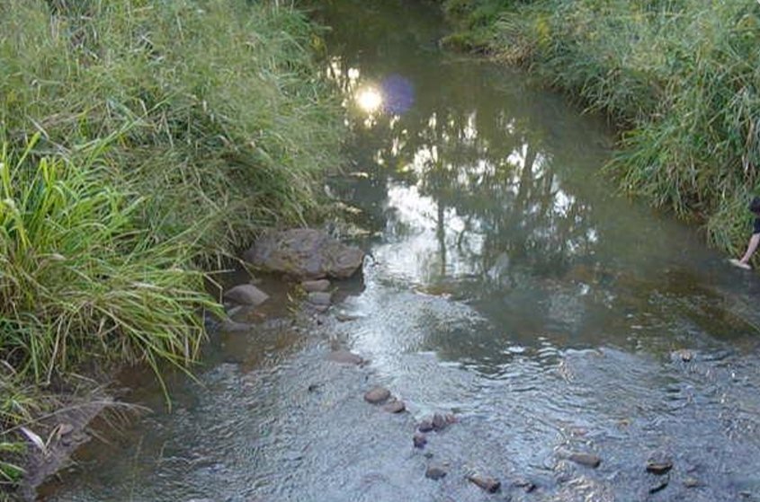 Imagen 6