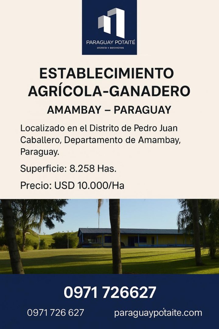 Imagen 20