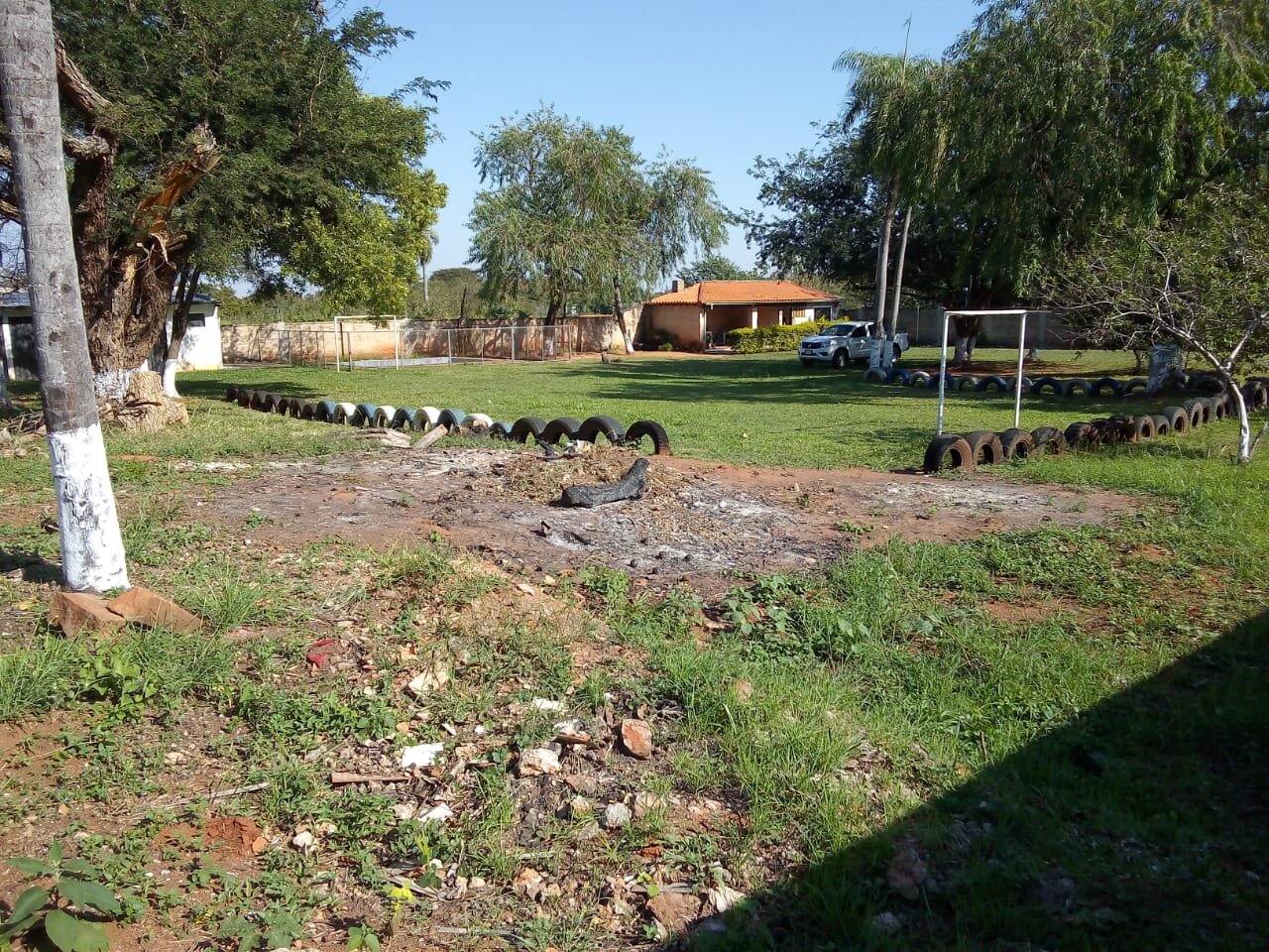 Imagen 6
