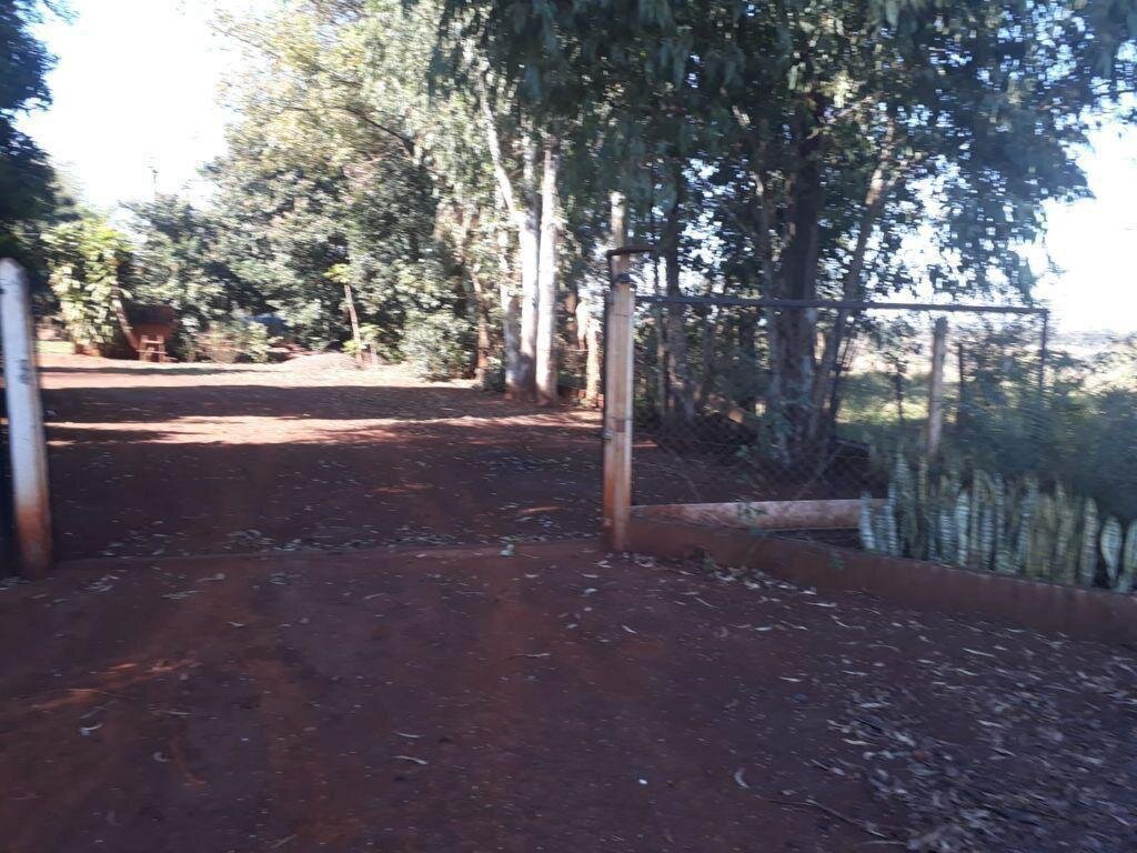 Imagen 6