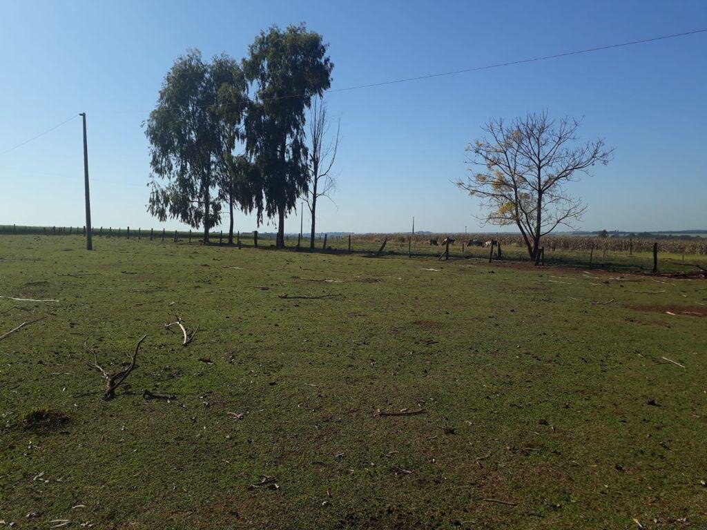 Imagen 7