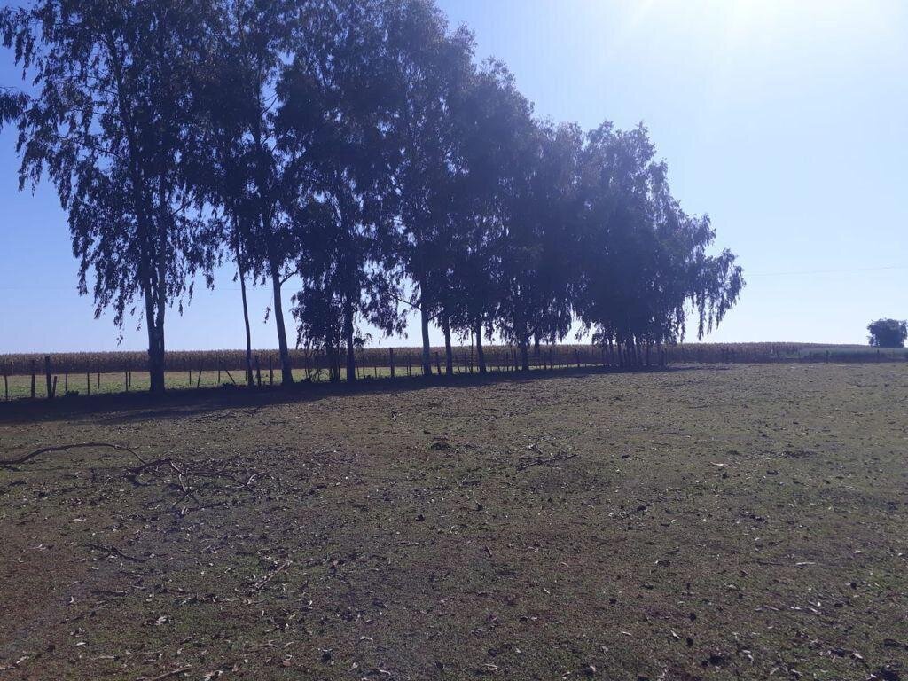 Imagen 11